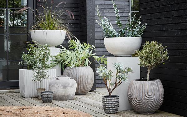 Faux Plants & Flowers