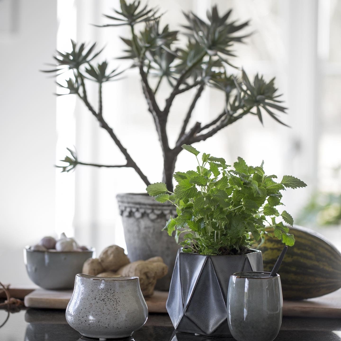 Planters & Plant Pots