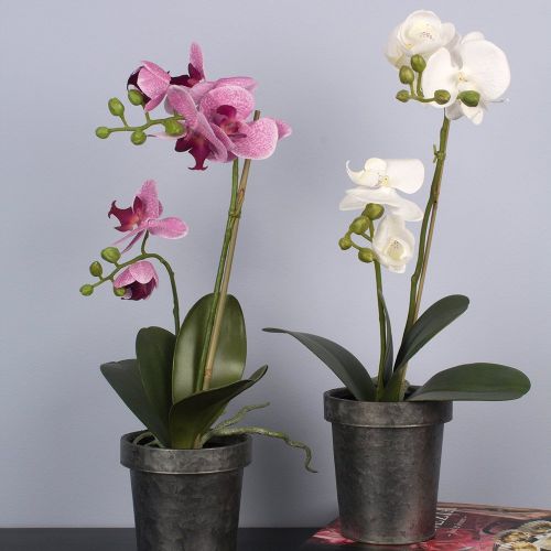 Faux Plants & Flowers