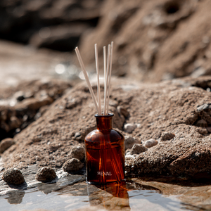 Sea Moss & Driftwood Diffuser Refill - St Eval