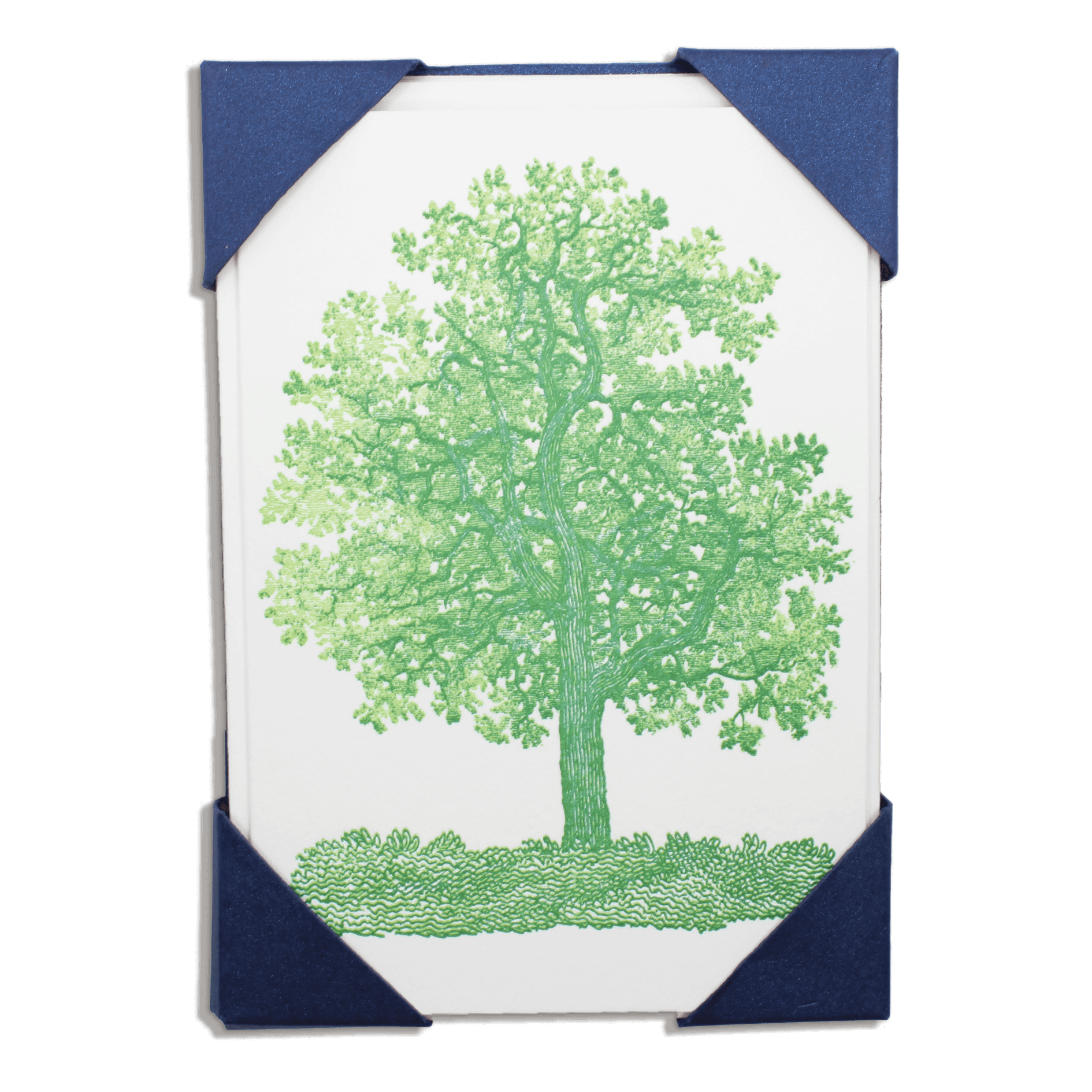 Oak Tree Notelets - Archivist