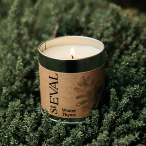 St Eval Winter Thyme Candle Tin
