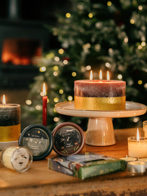 Winter Thyme, Christmas Stardust Pot