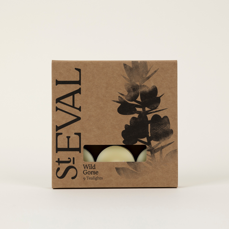 St Eval Wild Gorse Scented Tealights