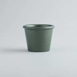 Winter Thyme, Christmas Stardust Pot