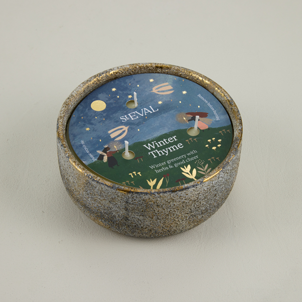 St Eval Winter Thyme  Pot - Large