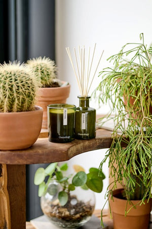 Osmology by Aery Black Oak Reed Diffuser