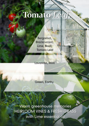 Tomato Leaf Reed Diffuser - Osmology by Aery
