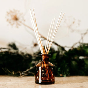 St Eval Winter Thyme Mini Christmas Diffuser