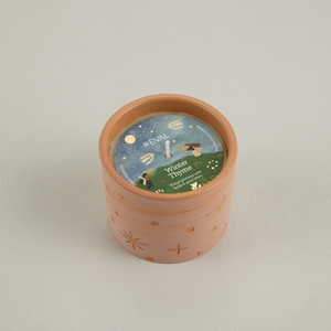 St Eval Winter Thyme, Star Gazy Pot