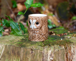 Tawny Owl Pencil Pot