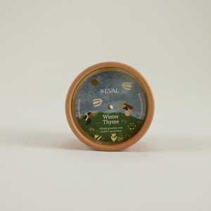 St Eval Winter Thyme, Star Gazy Pot