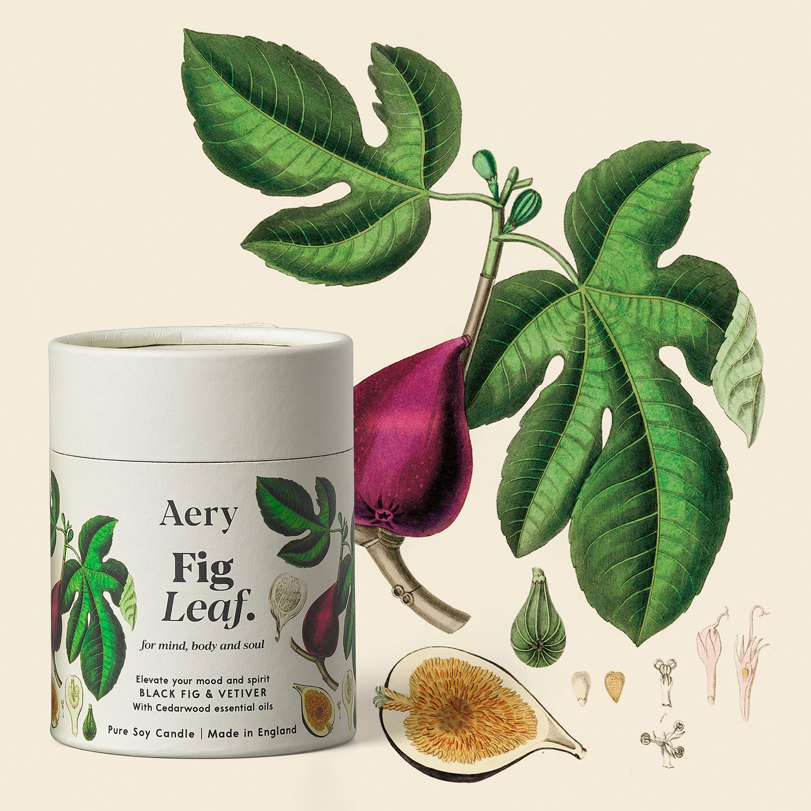 Aery Fig Leaf Scented Candle - Black Fig Vetiver and Cedarwood