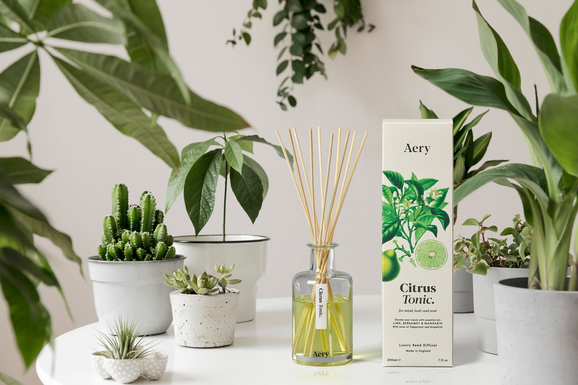 Aery Citrus Tonic Reed Diffuser - Lime Bergamot and Mandarin