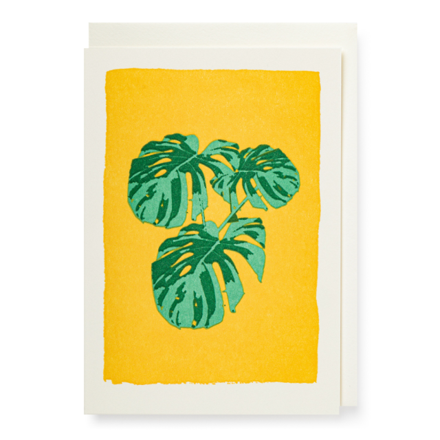 Houseplant - Greetings Card