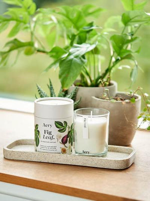 Aery Fig Leaf Scented Candle - Black Fig Vetiver and Cedarwood