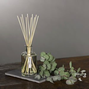 Aery Citrus Tonic Reed Diffuser - Lime Bergamot and Mandarin