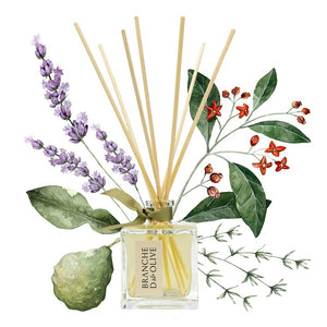 Branche d'Olive Garrigue Diffuser Refill