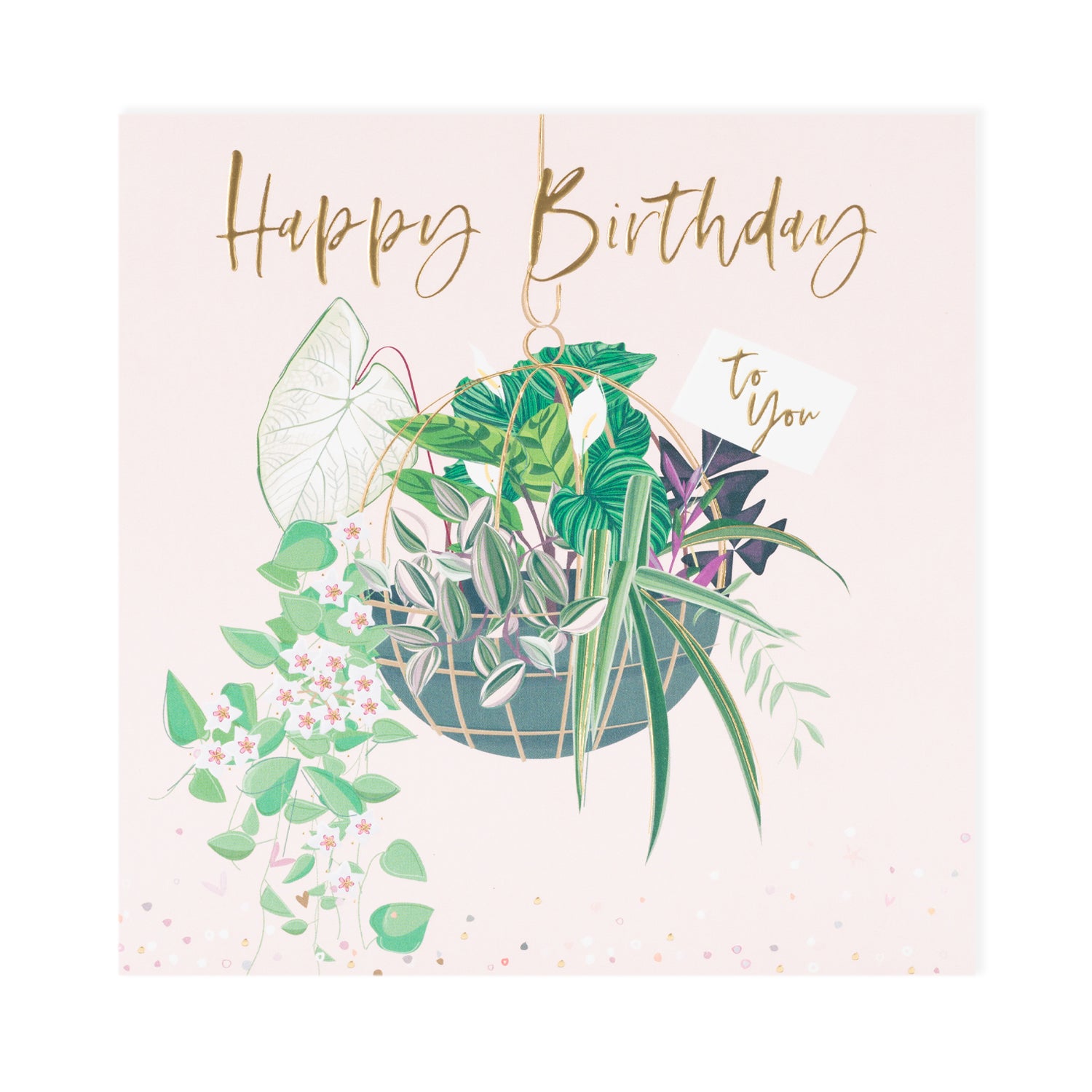 Happy Birthday Plant Card - Belly Button Designs