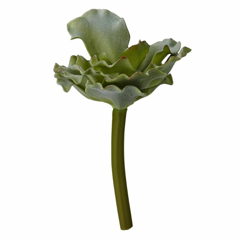 Succulent -Artificial Flora