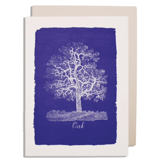 Natural History Museum Oak Tree Card