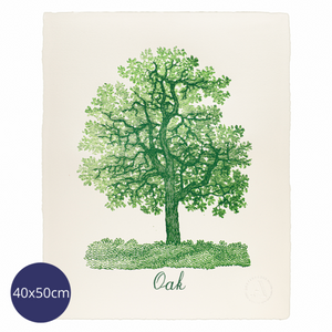 Oak Tree - Large Print