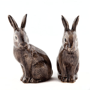 Wild Rabbit Salt and Pepper - Quail Ceramics