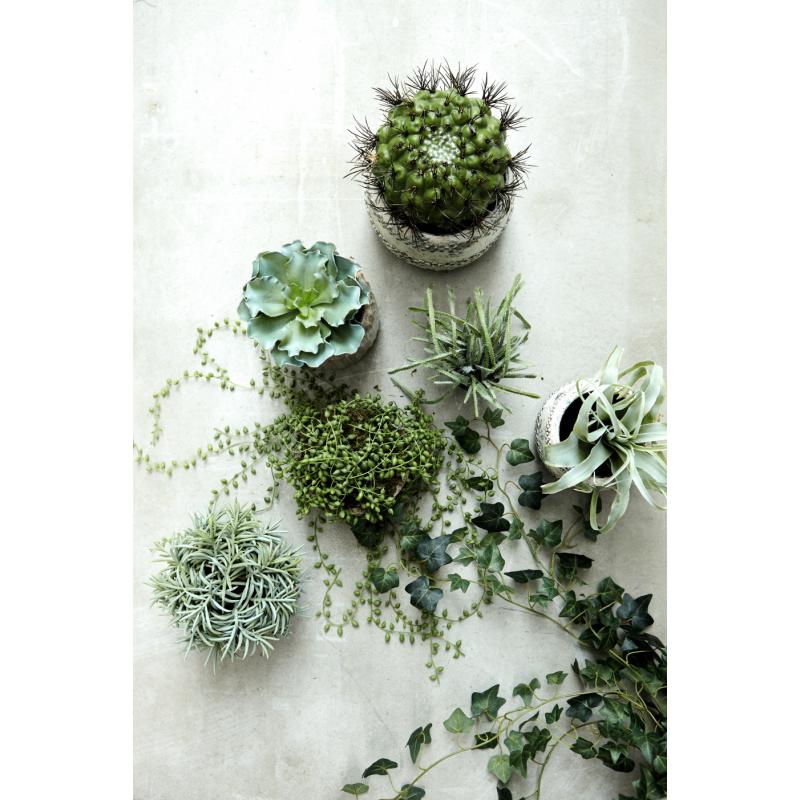 artificial succulent plants uk Succulent -Artificial Flora
