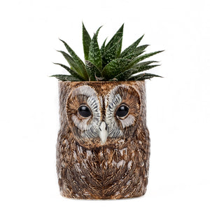 Tawny Owl Pencil Pot