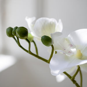 White Faux Orchid
