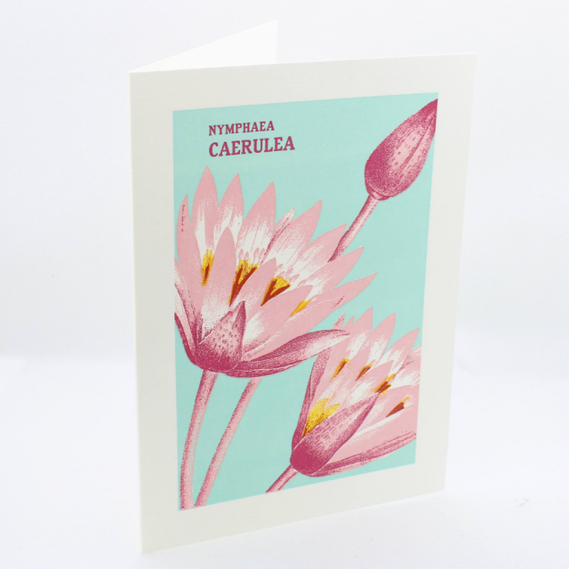 Waterlily Letterpress Printed Greetings Card – Archivist Press