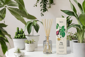 Aery Fig Leaf Scented Candle - Black Fig Vetiver and Cedarwood