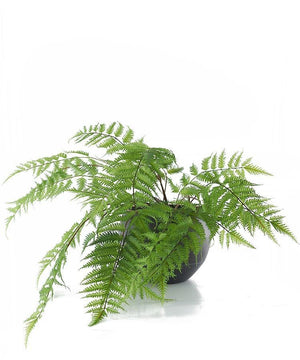 Large Faux Forest Fern