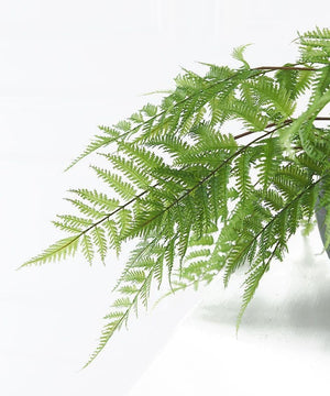 Large Faux Forest Fern