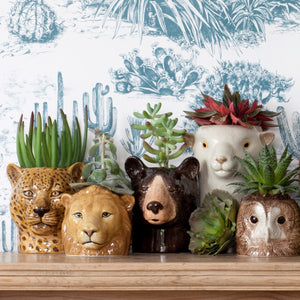 Quail White Faced Suffolk Sheep Utensil Pot