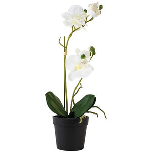 White Faux Orchid